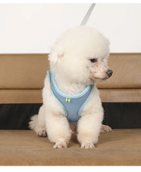 Conjunto de coleira e guia para cães de pequeno porte