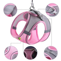 Conjunto de coleira e guia para cães de pequeno porte