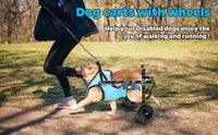 Cadeira de rodas para cães e Gato