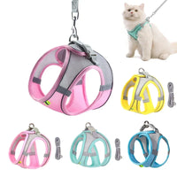 Conjunto de coleira e guia para cães de pequeno porte