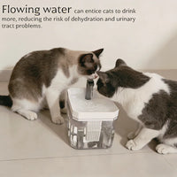 Fonte de água automática  1,5L com filtro e conexão USB