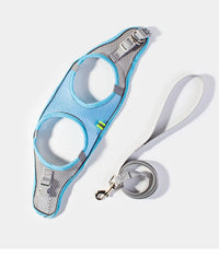 Conjunto de coleira e guia para cães de pequeno porte
