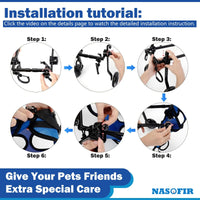 Cadeira de rodas para cães e Gato