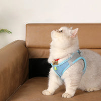 Conjunto de coleira e guia para cães de pequeno porte