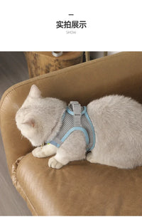 Conjunto de coleira e guia para cães de pequeno porte