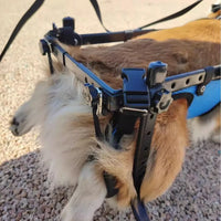 Cadeira de rodas para cães e Gato