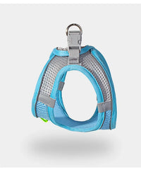 Conjunto de coleira e guia para cães de pequeno porte