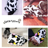 Moletom Doce Conforto para Pet