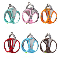 Conjunto de coleira e guia para cães de pequeno porte
