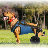 Cadeira de rodas para cães e Gato