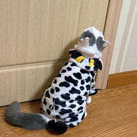 Moletom Doce Conforto para Pet