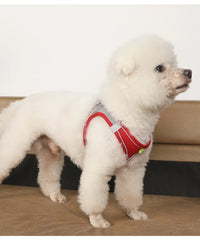 Conjunto de coleira e guia para cães de pequeno porte