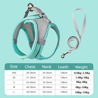 Conjunto de coleira e guia para cães de pequeno porte