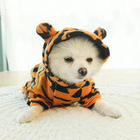 Moletom Doce Conforto para Pet