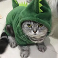 Moletom Doce Conforto para Pet