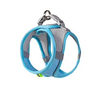 Conjunto de coleira e guia para cães de pequeno porte