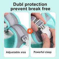 Conjunto de coleira e guia para cães de pequeno porte