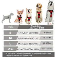 Peitoral e Coletes para Cachorros