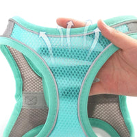 Conjunto de coleira e guia para cães de pequeno porte