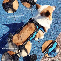 Cadeira de rodas para cães e Gato