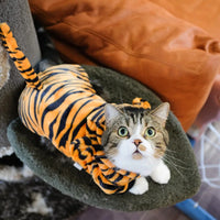 Moletom Doce Conforto para Pet