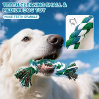Kit com 10 brinquedos antiestresse, incluindo limpador de dentes